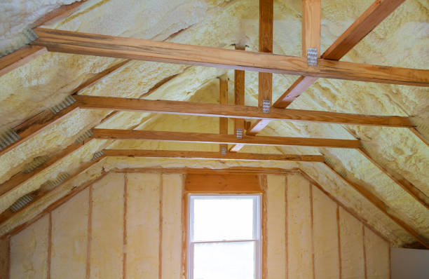Best Residential Insulation Services  in Harbor Bluffs, FL