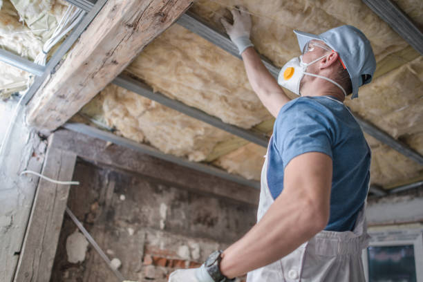 Trusted Harbor Bluffs, FL Insulation Contractor Experts