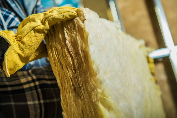 Best Spray Foam Insulation  in Harbor Bluffs, FL